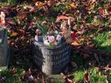 image of grave number 912107